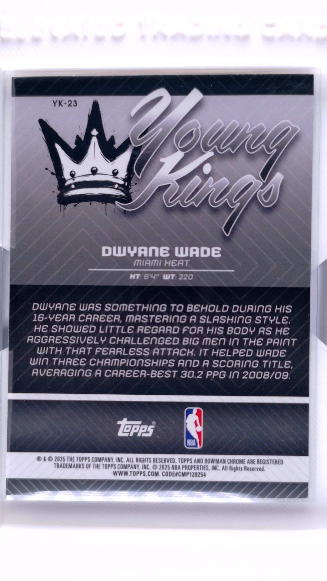 #YK-23 Dwyane Wade Young Kings - back