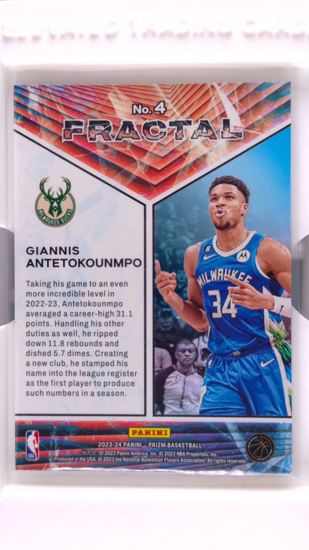 #4 Giannis Antetokounmpo Fractal - back