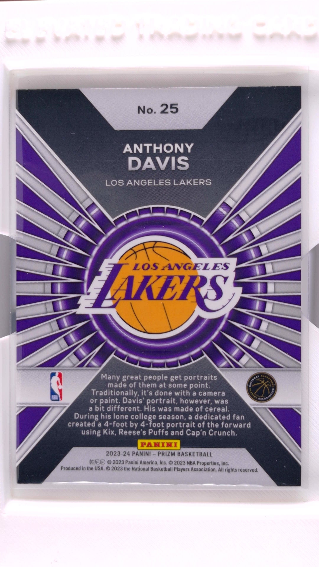 #25 Anthony Davis Dominance - back