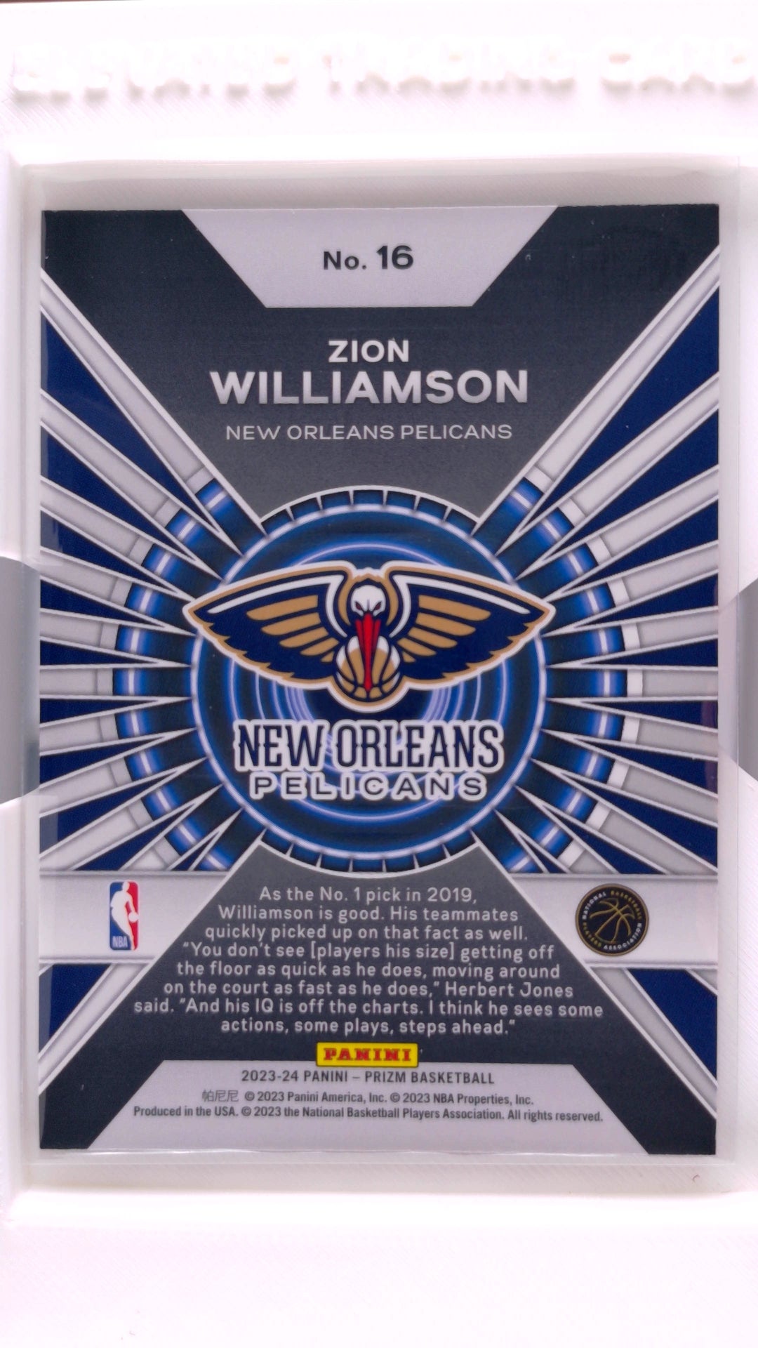 #16 Zion Williamson Dominance - back