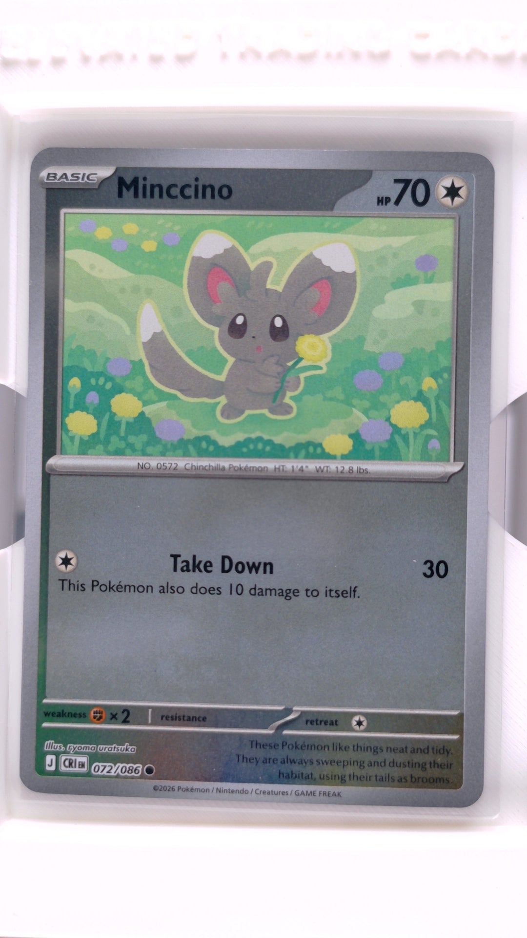 #72 Minccino Reverse Holo Common - front