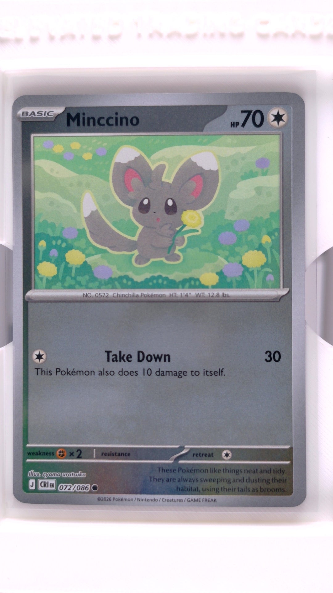 #72 Minccino Reverse Holo Common - front