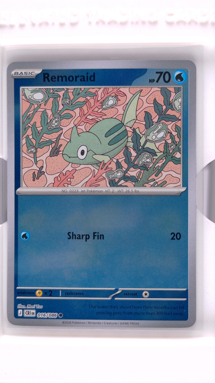 Pokémon: Mega Evolution — Chaos Rising Remoraid #016/086 Common Reverse Holo — Front