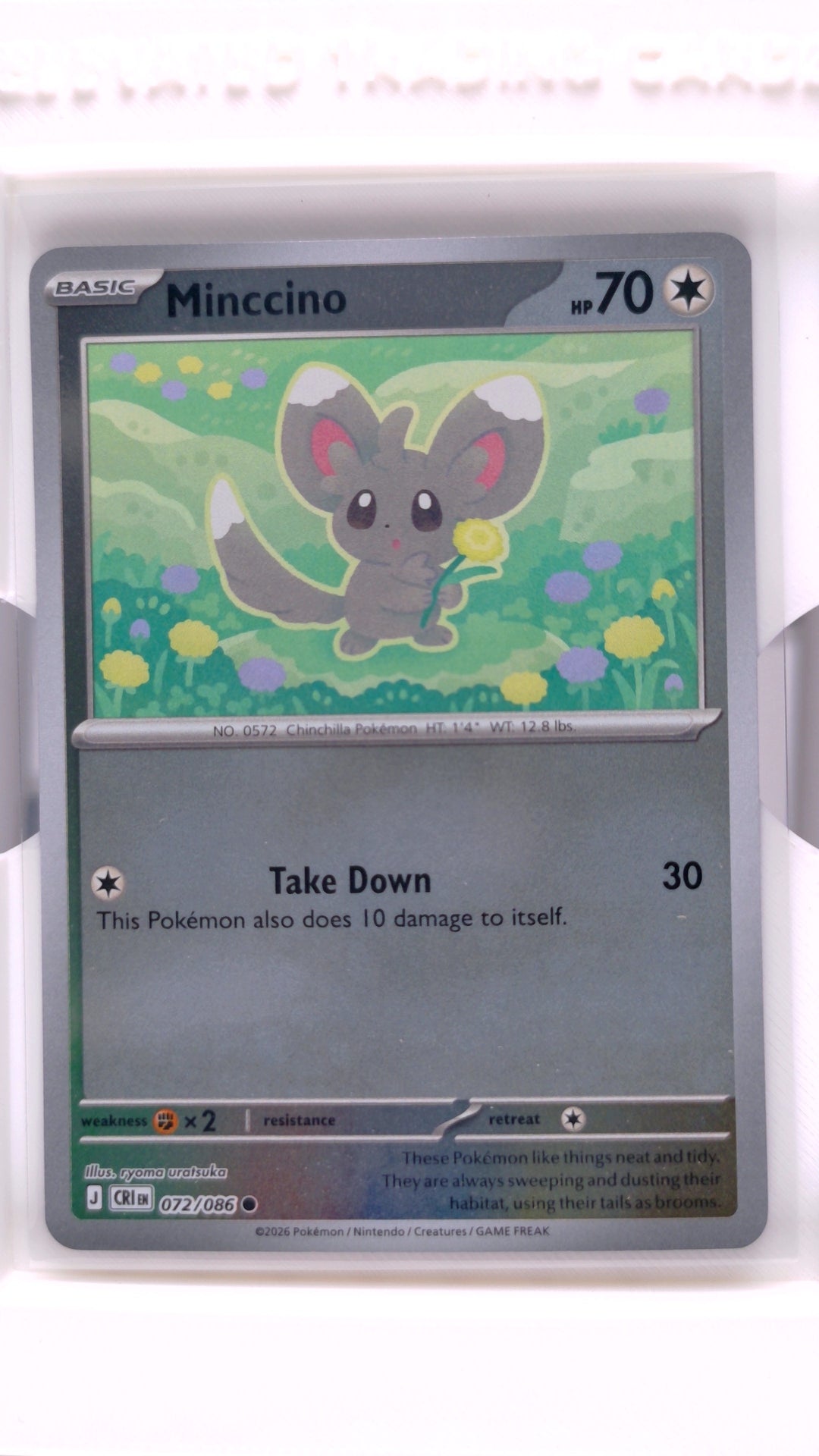 #72 Minccino Reverse Holo Common - front