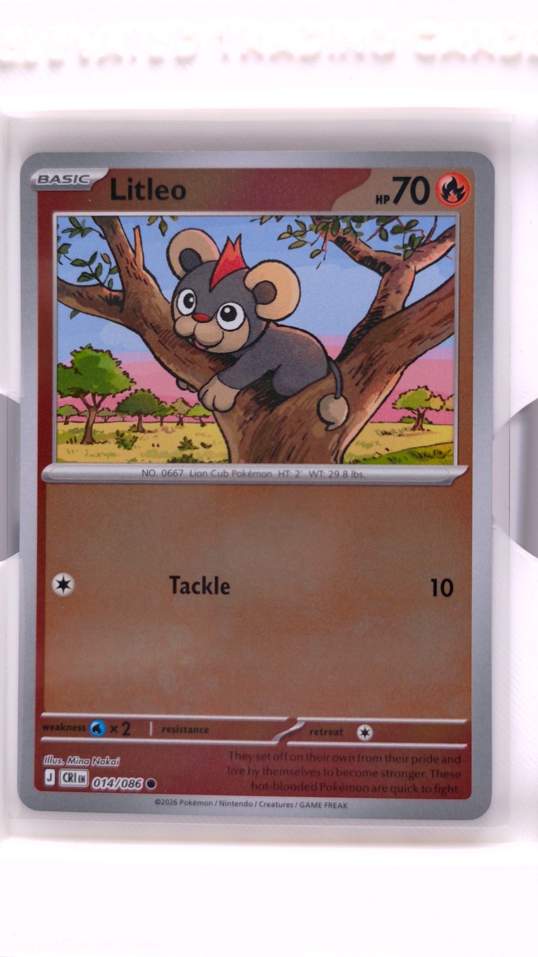 #14 Litleo Reverse Holo Common - front