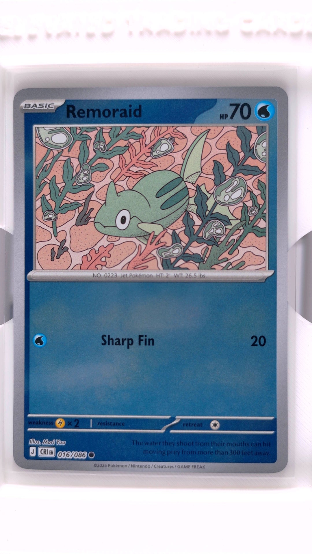 #16 Remoraid Reverse Holo Common - front