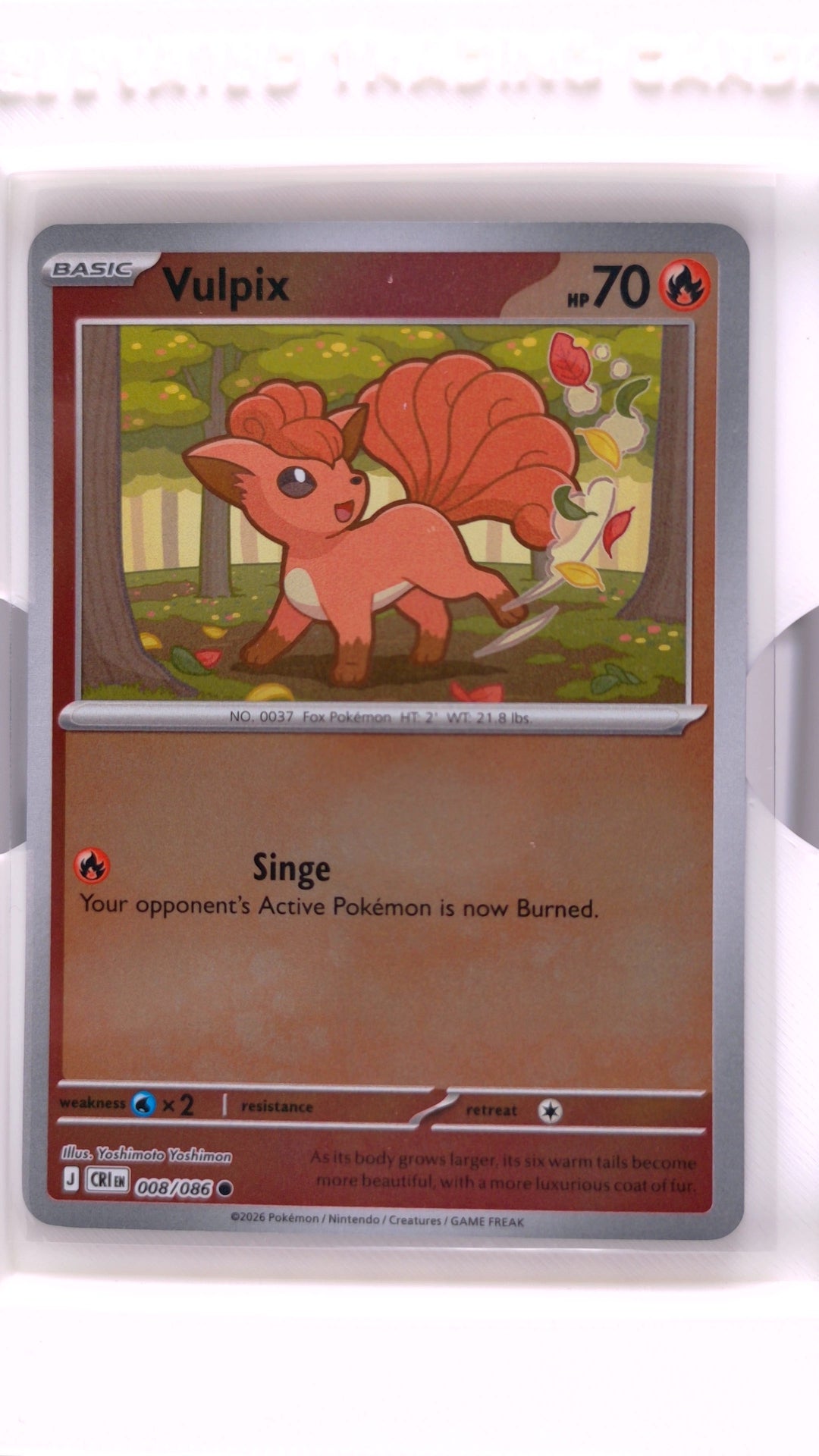 #8 Vulpix Reverse Holo Common - front