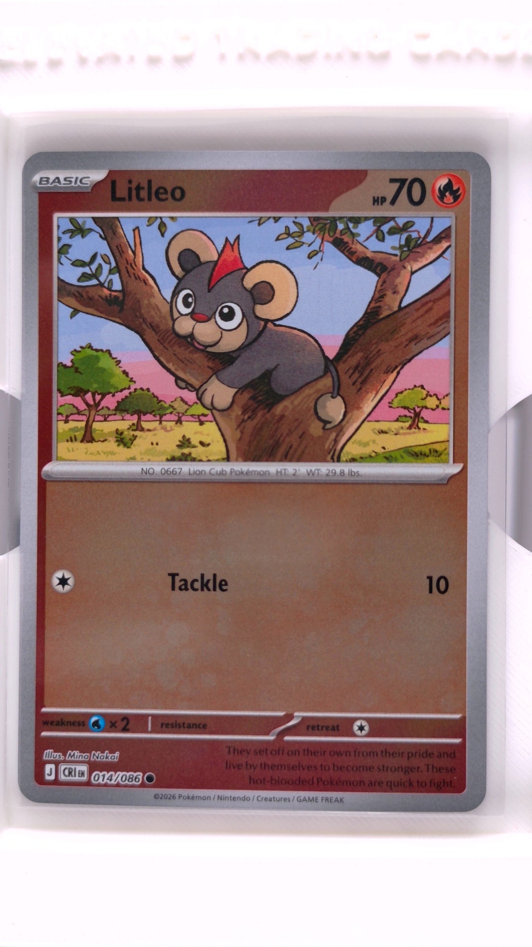 #14 Litleo Reverse Holo Common - front