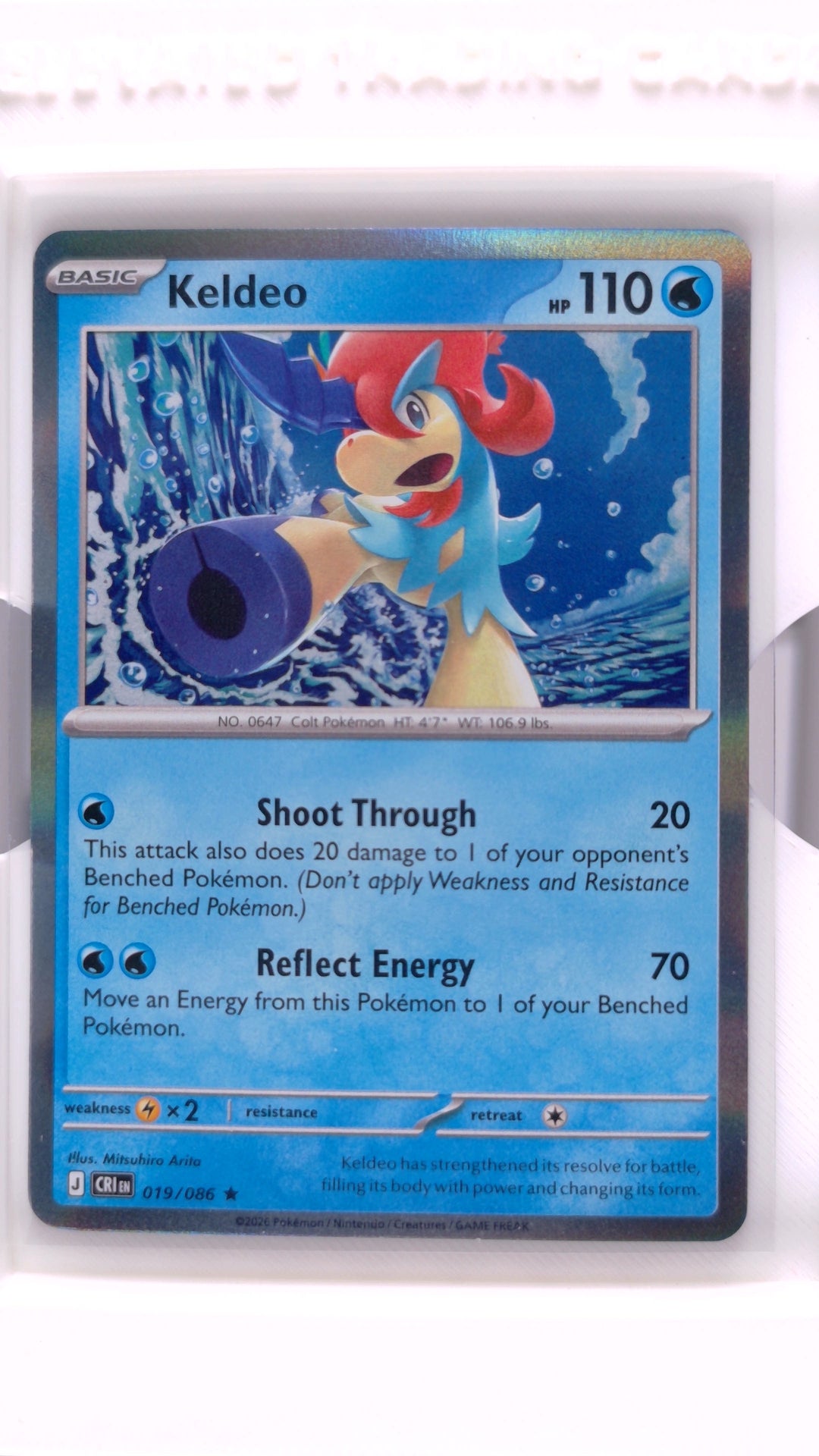 #19 Keldeo Holo Rare - front