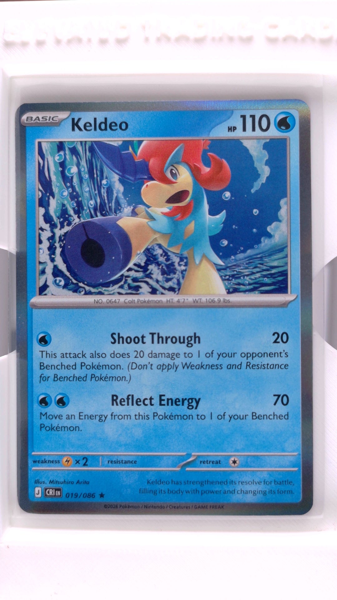 #19 Keldeo Holo Rare - front