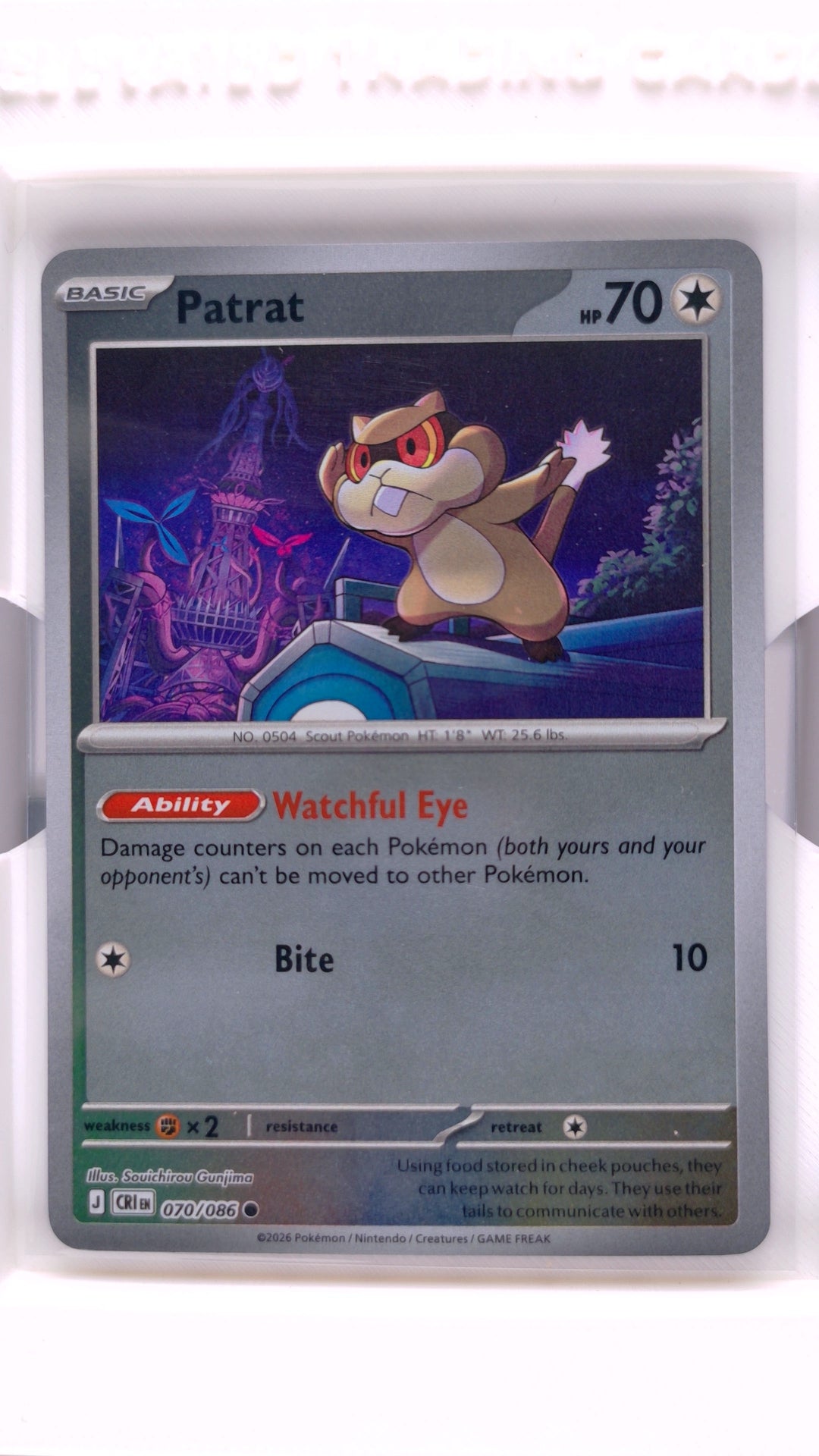 #70 Patrat Reverse Holo Common - front