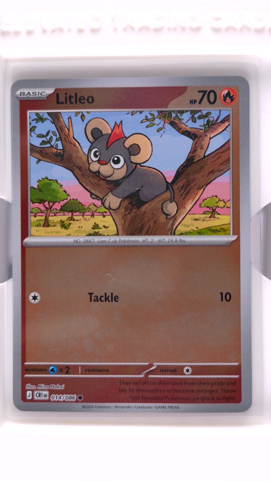 #14 Litleo Reverse Holo Common - front
