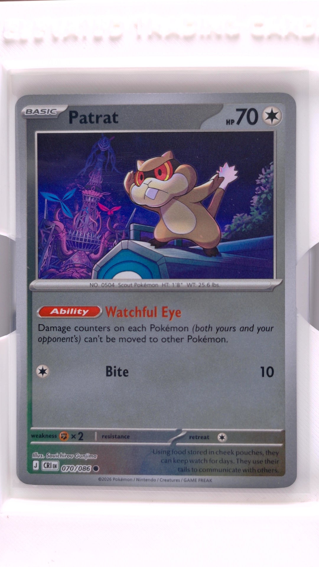 #70 Patrat Reverse Holo Common - front