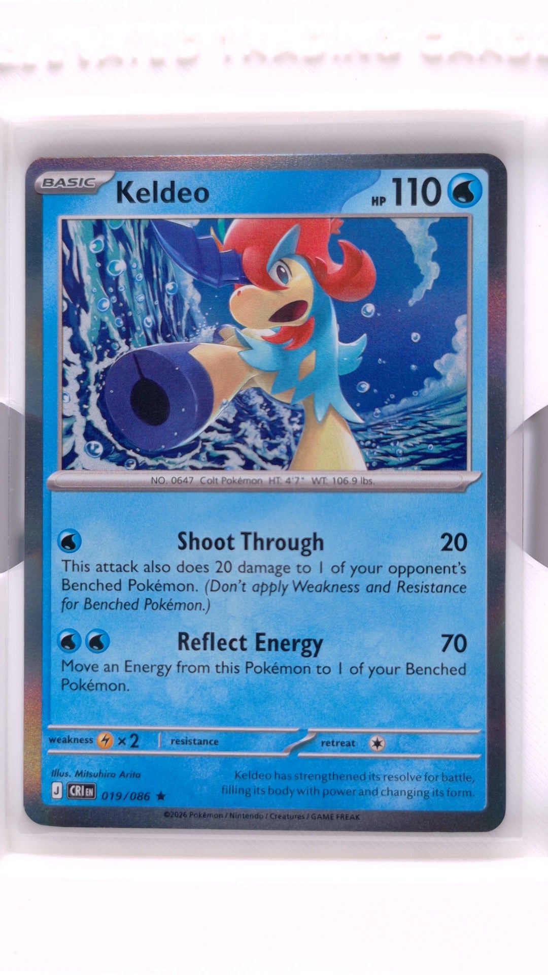 #19 Keldeo Holo Rare - front