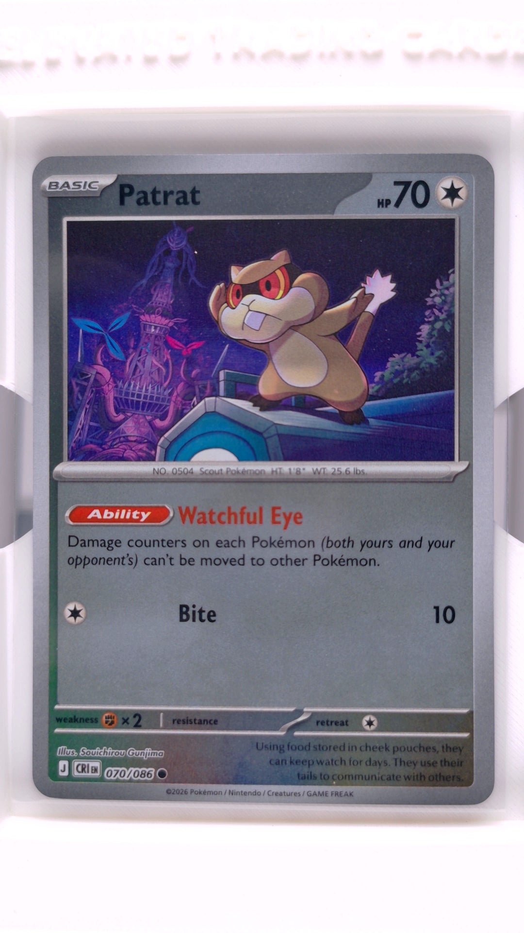 #70 Patrat Reverse Holo Common - front