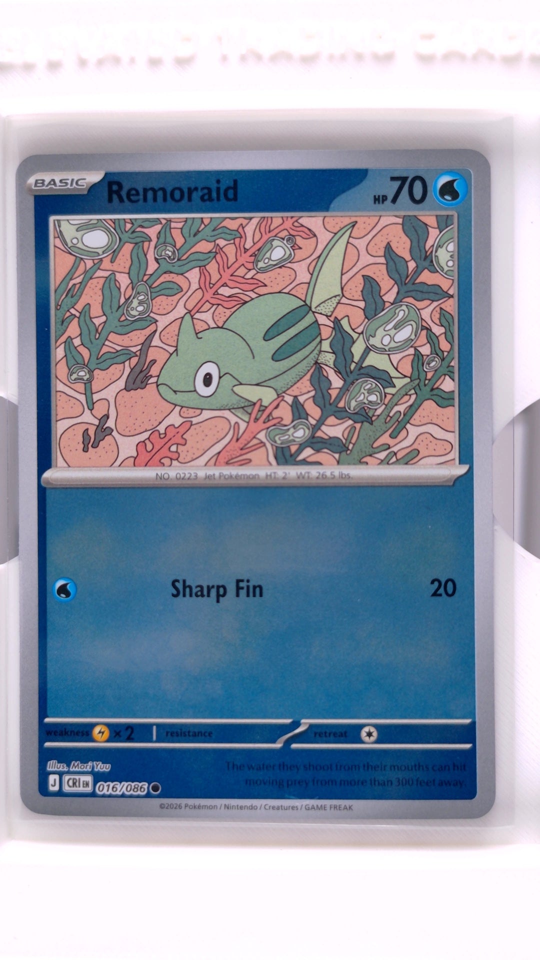 #16 Remoraid Reverse Holo Common - front