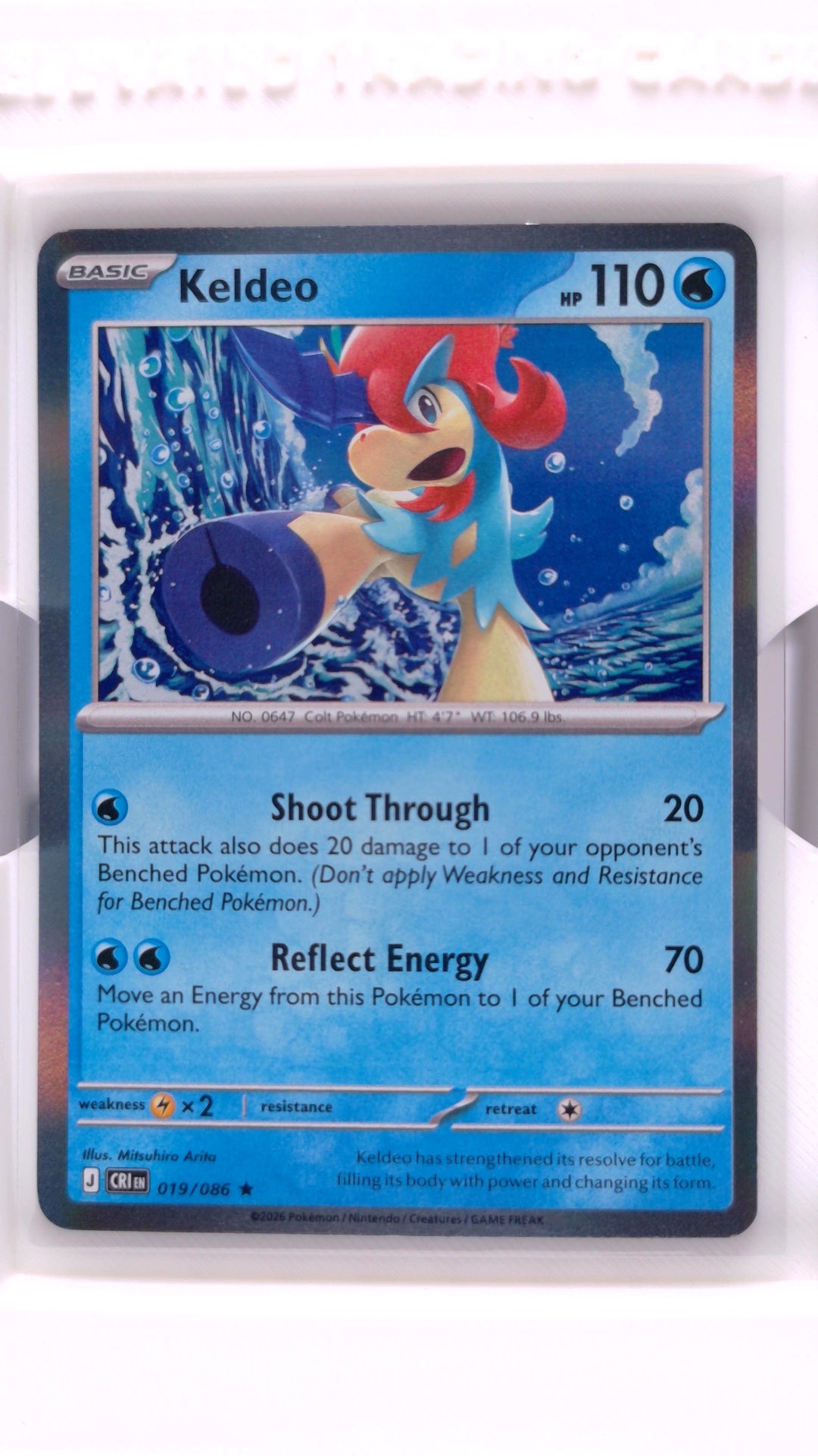 #19 Keldeo Holo Rare - front