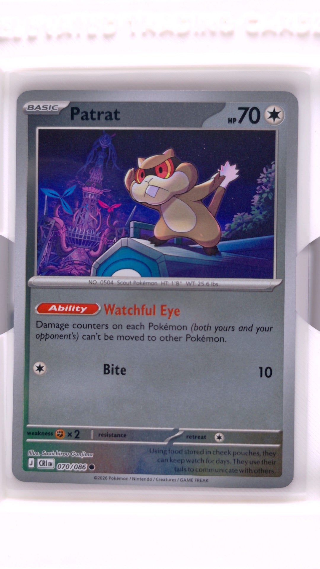 #70 Patrat Reverse Holo Common - front