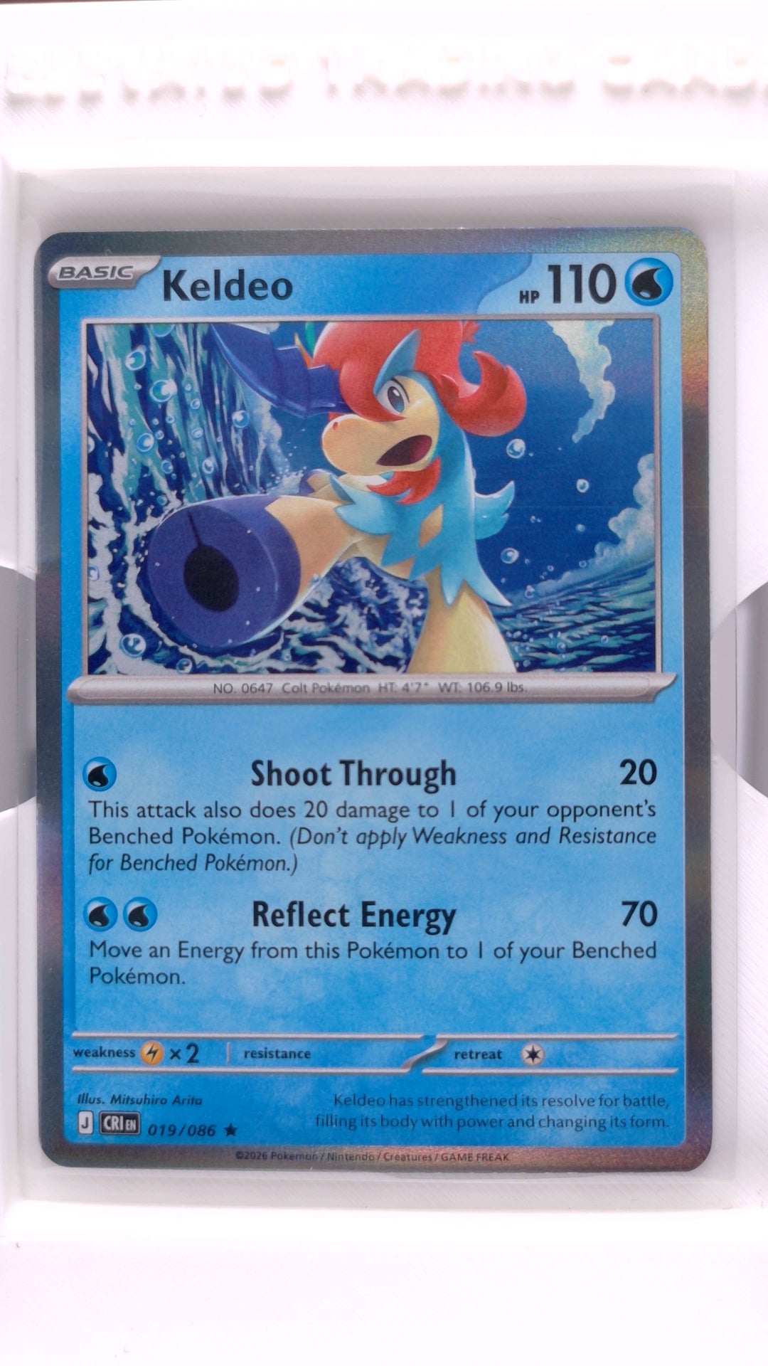 #19 Keldeo Holo Rare - front