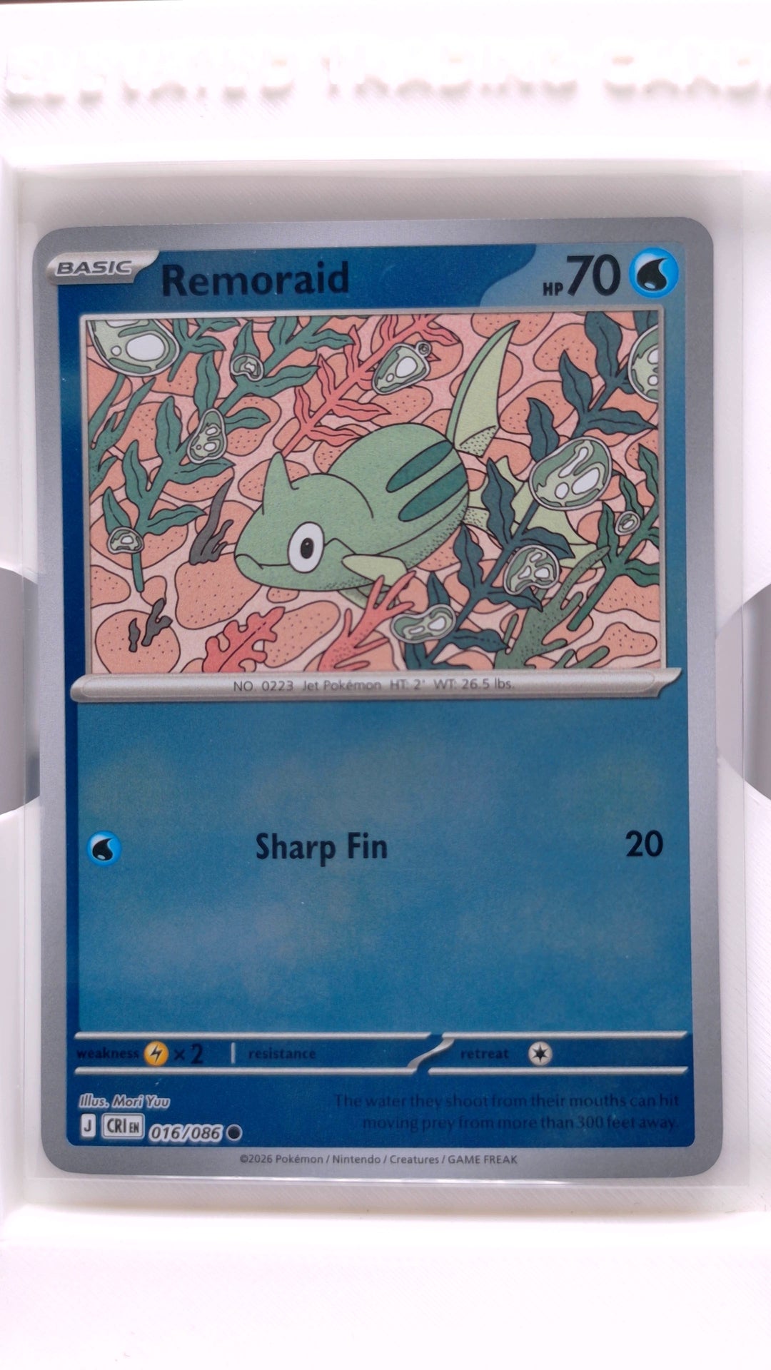 #16 Remoraid Reverse Holo Common - front
