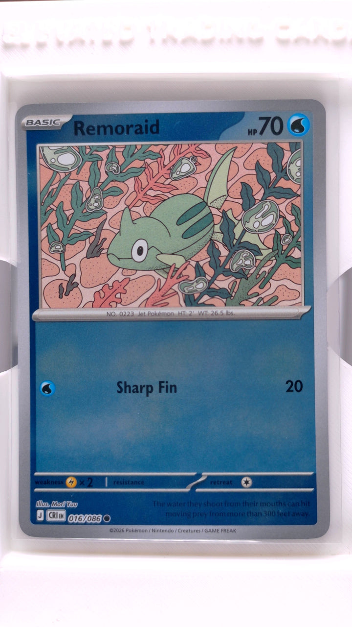 Pokémon: Mega Evolution — Chaos Rising Remoraid #016/086 Common Reverse Holo — Front