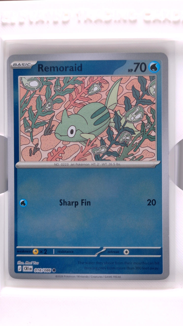 Pokémon: Mega Evolution — Chaos Rising Remoraid #016/086 Common Reverse Holo — Front