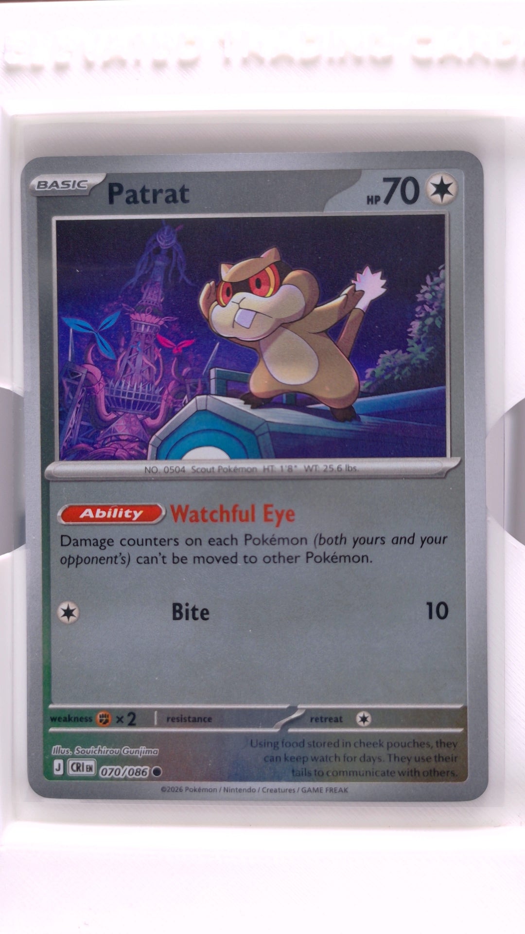 #70 Patrat Reverse Holo Common - front