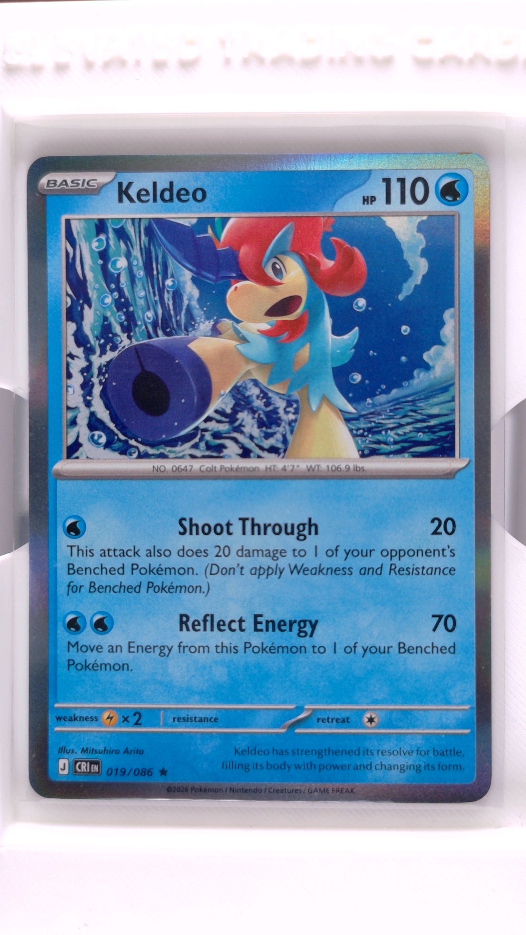#19 Keldeo Holo Rare - front