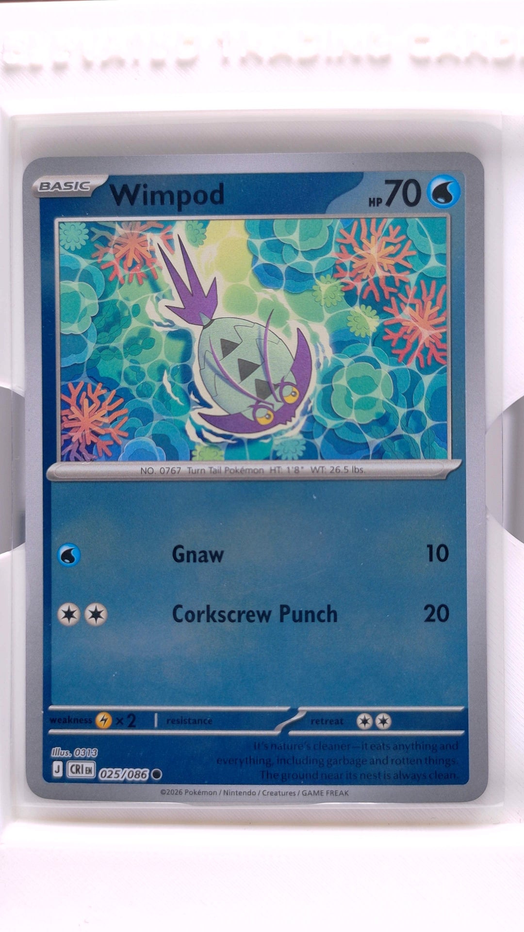 #25 Wimpod Reverse Holo Common - front