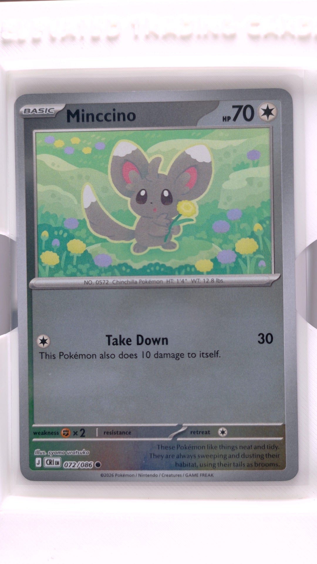 #72 Minccino Reverse Holo Common - front