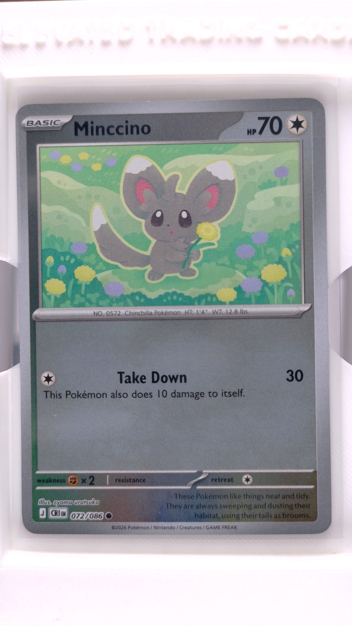 Pokémon: Mega Evolution — Chaos Rising Minccino #072/086 Common Reverse Holo — Front