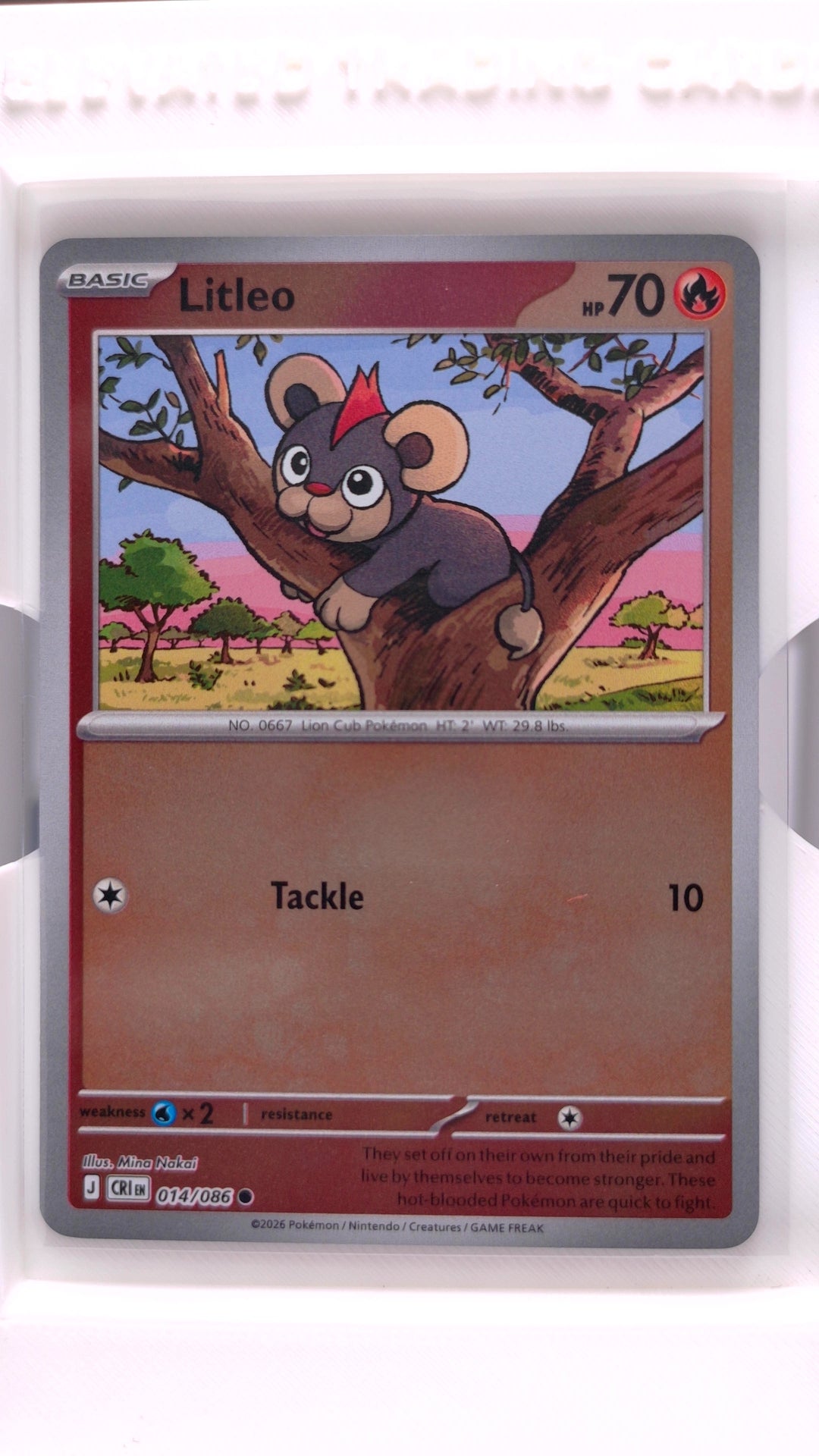 #14 Litleo Reverse Holo Common - front