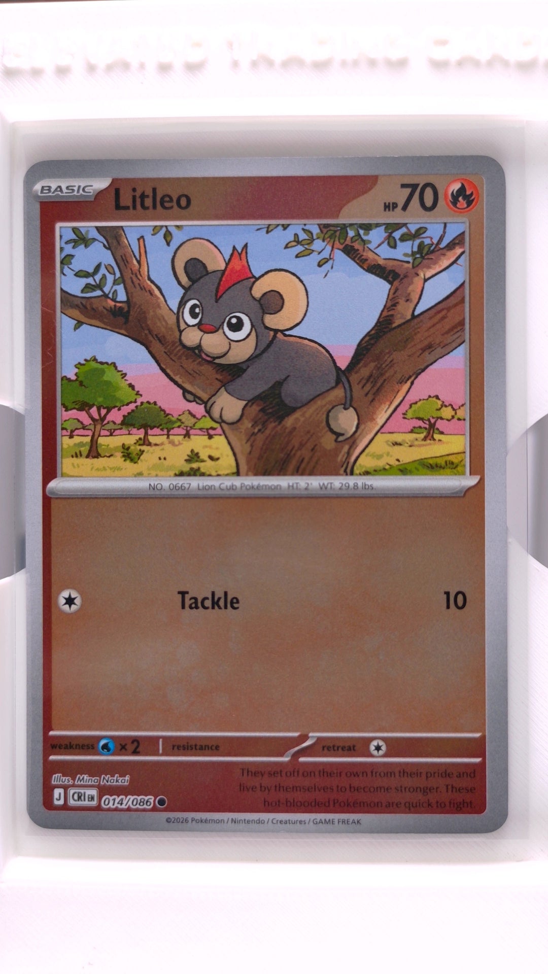 #14 Litleo Reverse Holo Common - front