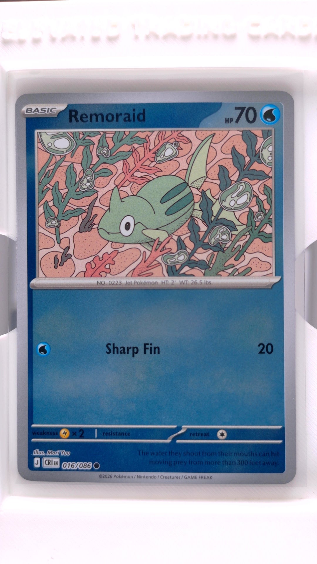 #16 Remoraid Reverse Holo Common - front