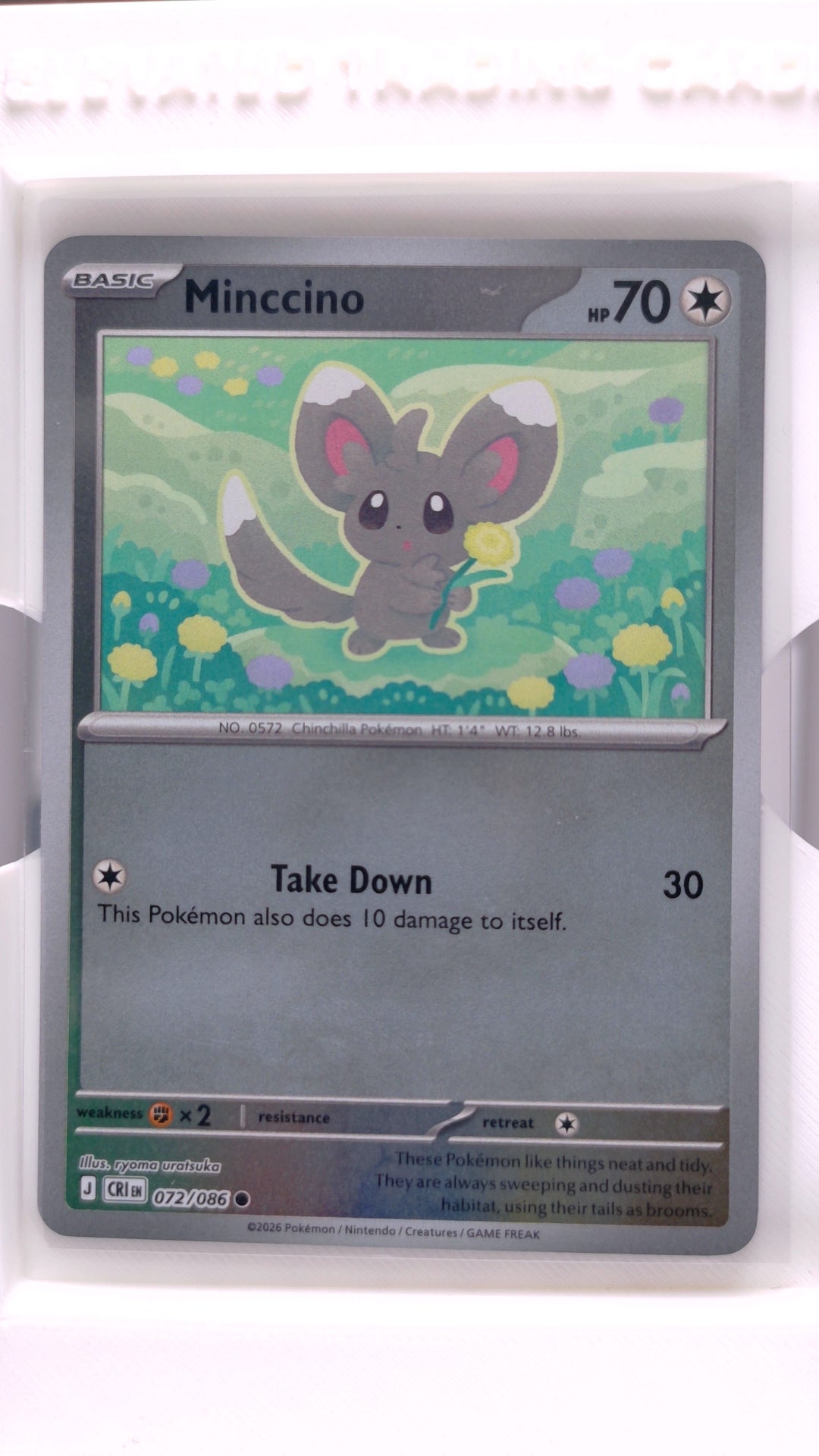 #72 Minccino Reverse Holo Common - front