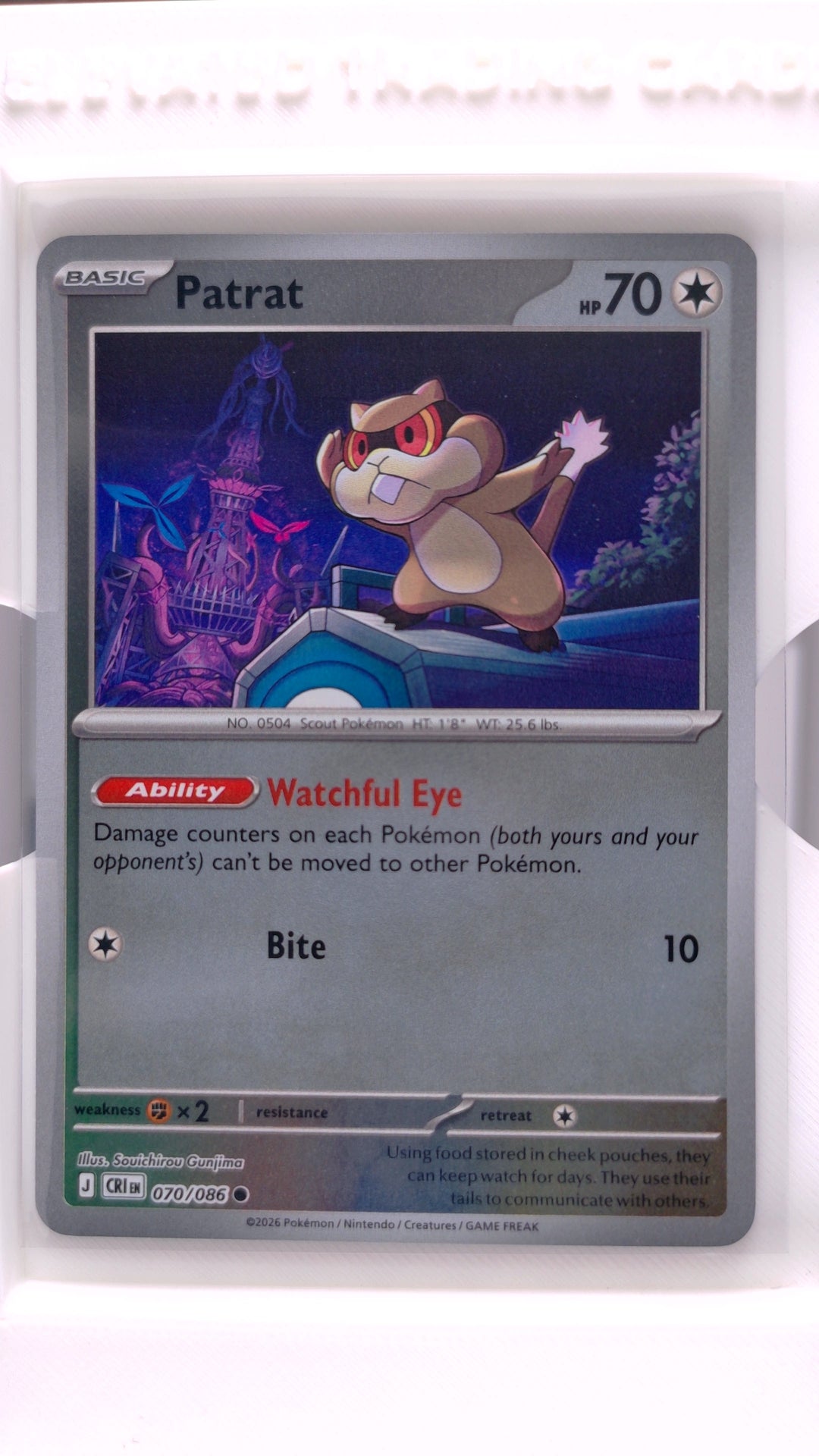 #70 Patrat Reverse Holo Common - front