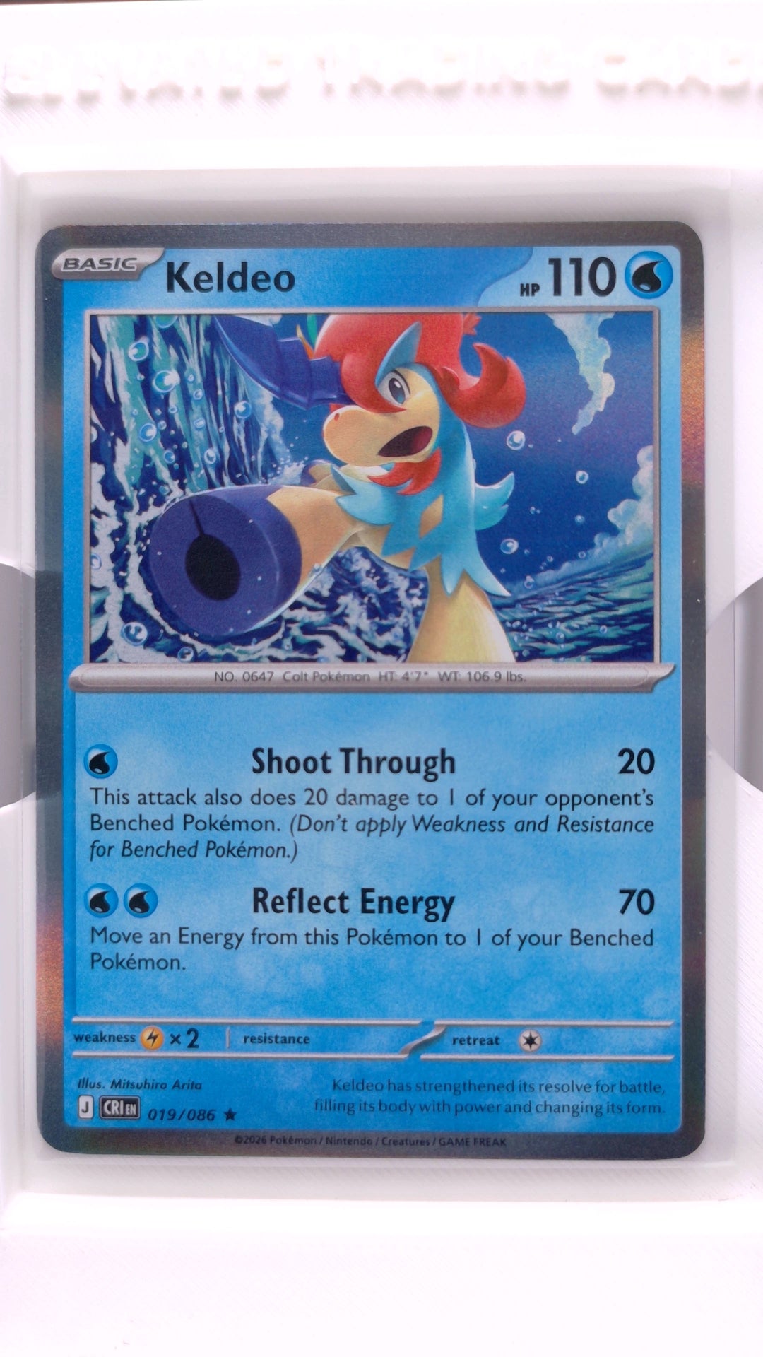 #19 Keldeo Holo Rare - front