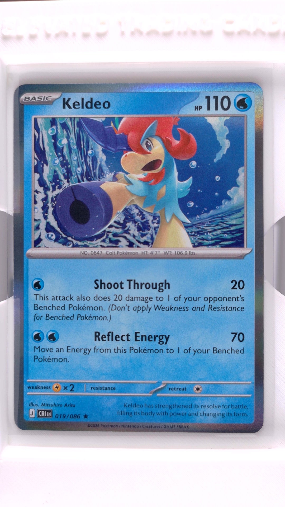 #19 Keldeo Holo Rare - front