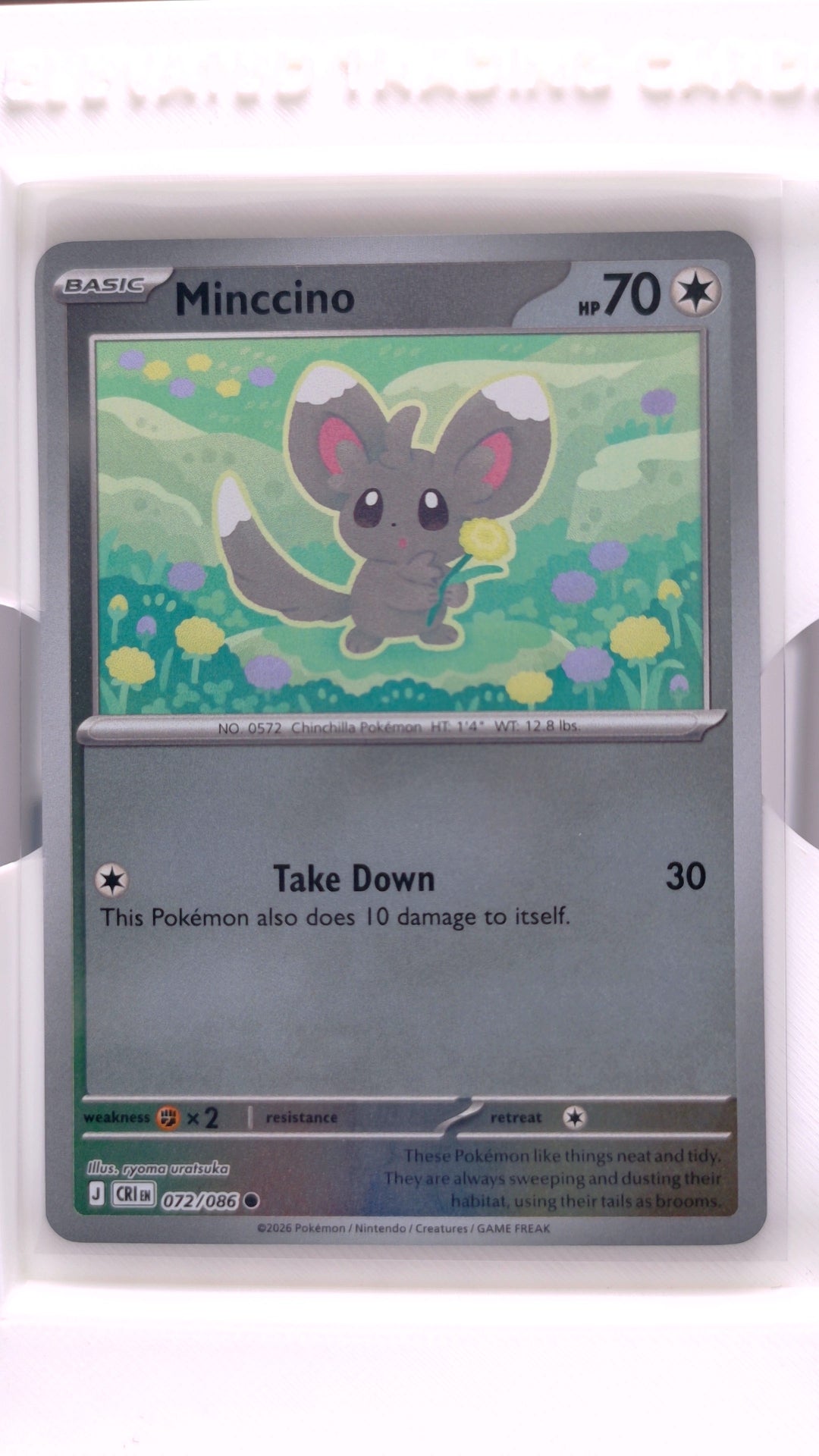 #72 Minccino Reverse Holo Common - front