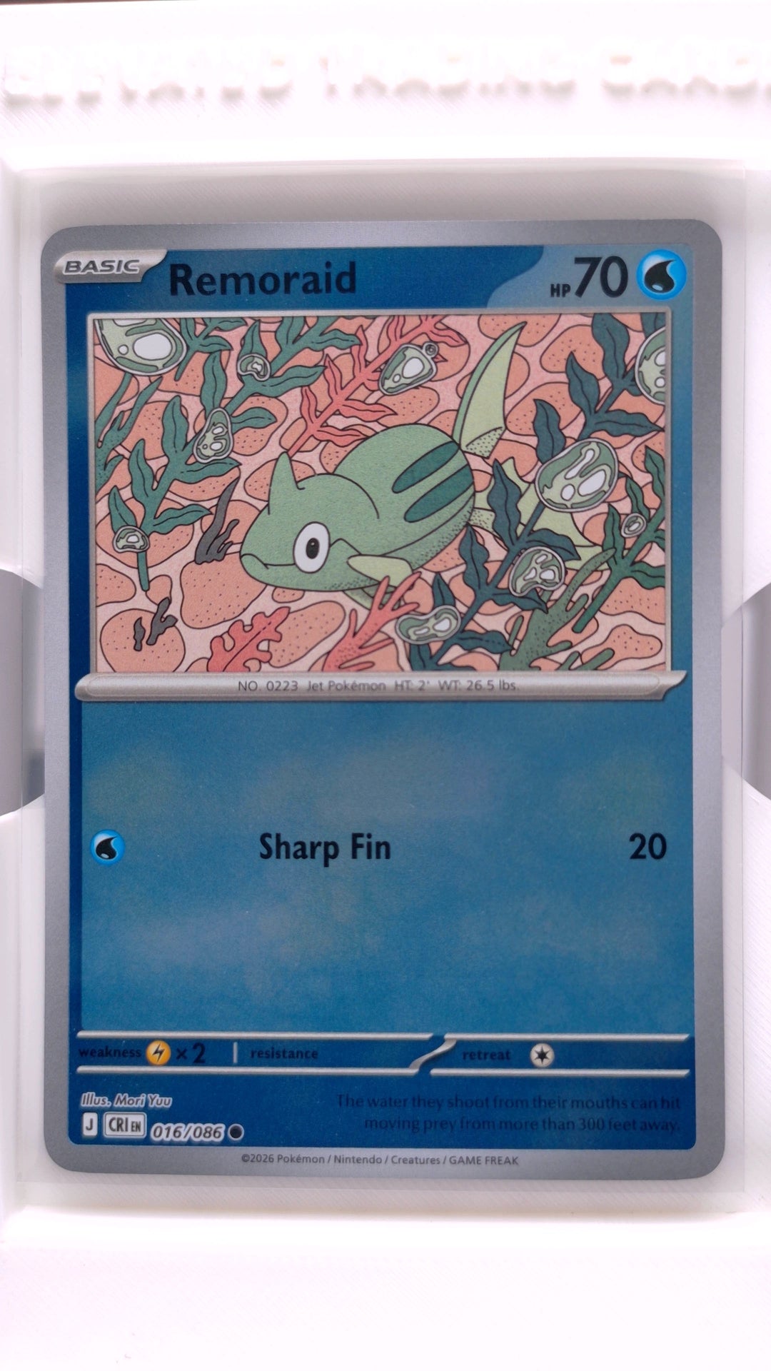 #16 Remoraid Reverse Holo Common - front