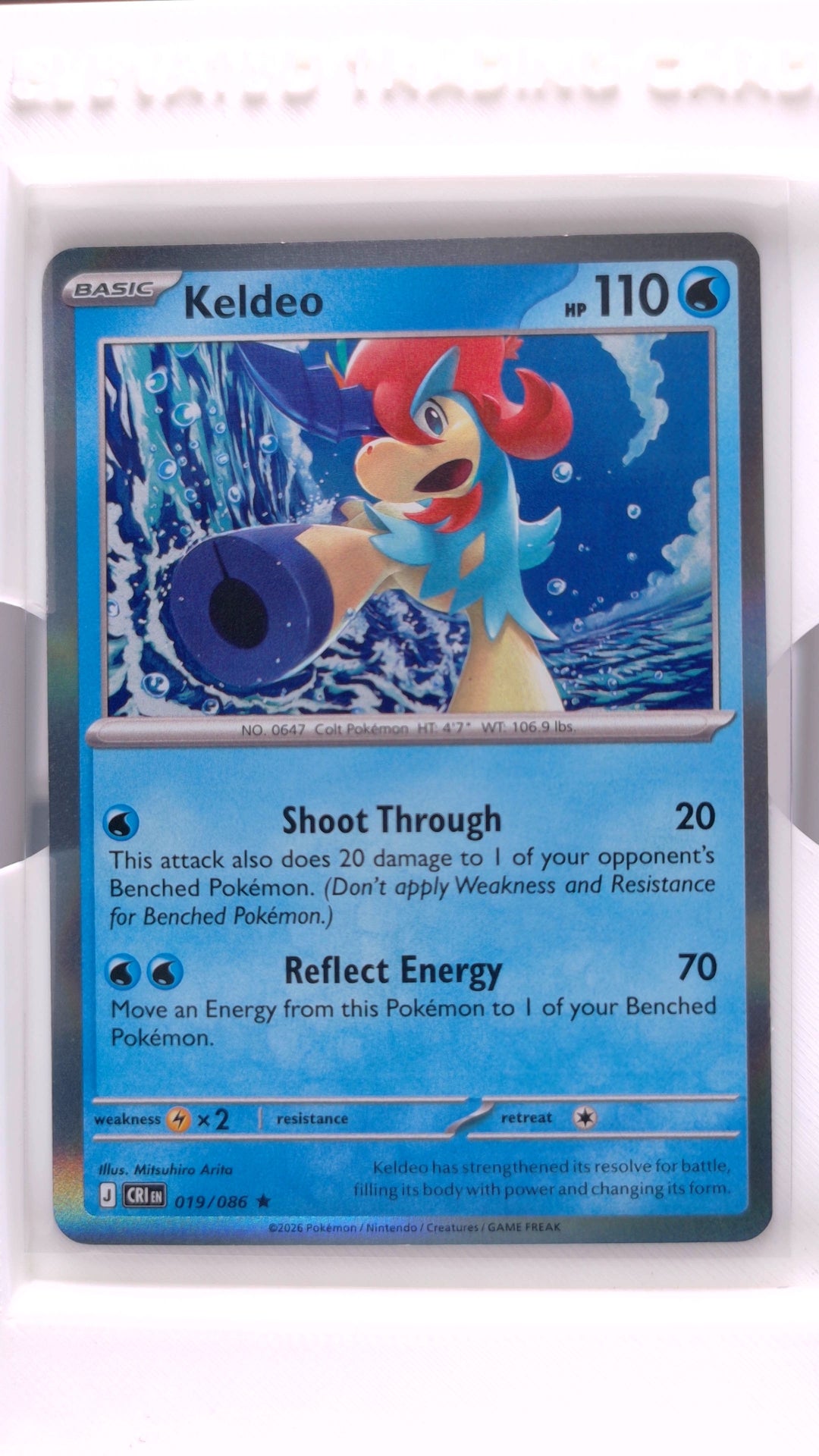 #19 Keldeo Holo Rare - front