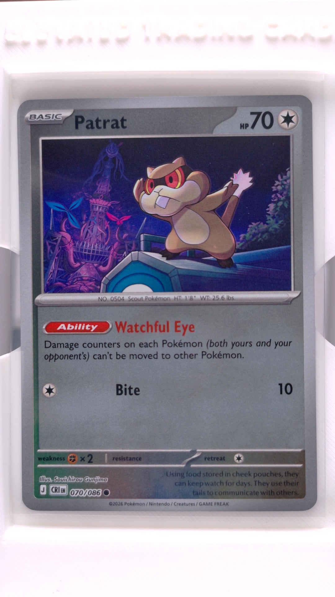 #70 Patrat Reverse Holo Common - front