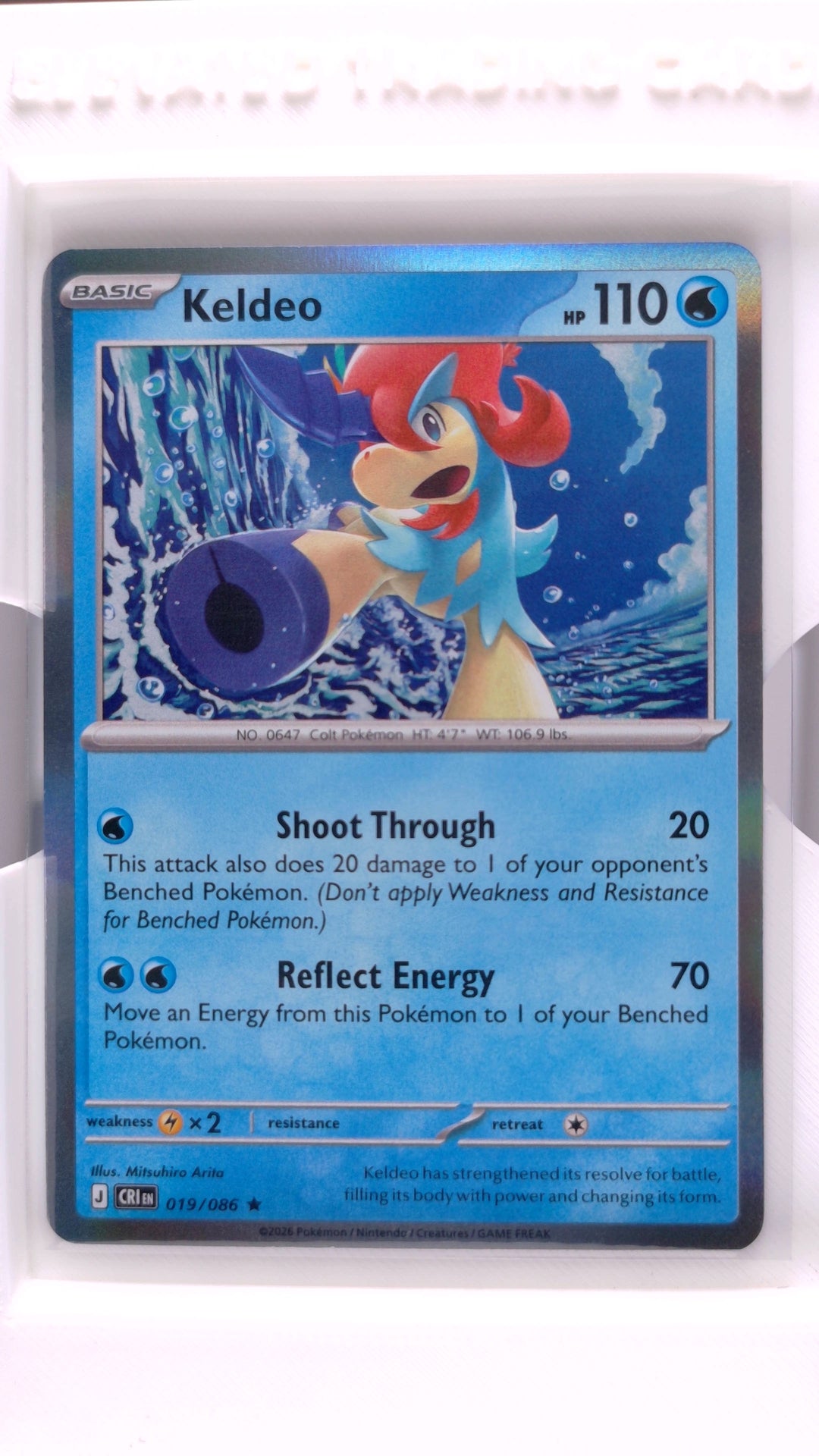 #19 Keldeo Holo Rare - front