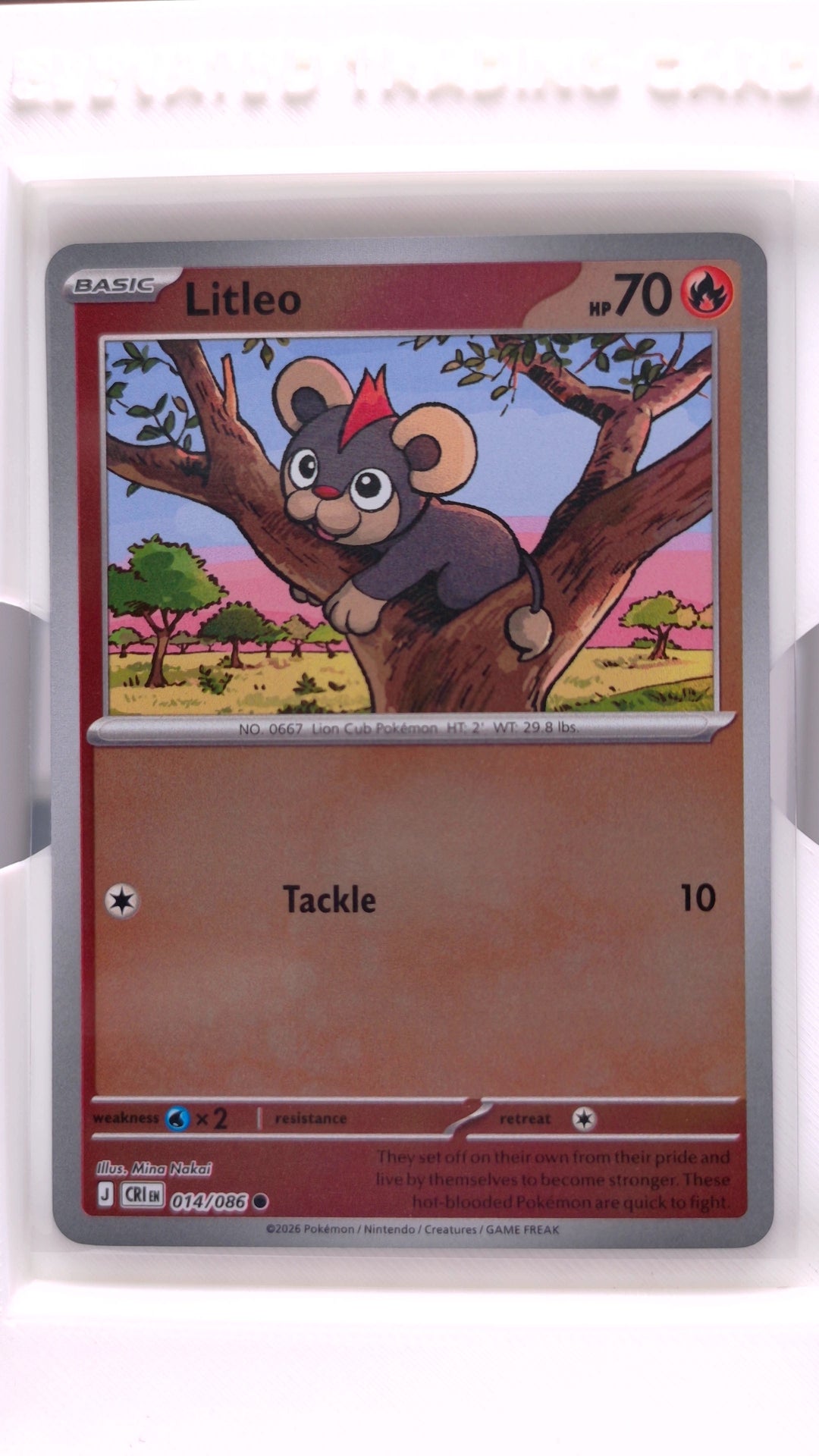 #14 Litleo Reverse Holo Common - front