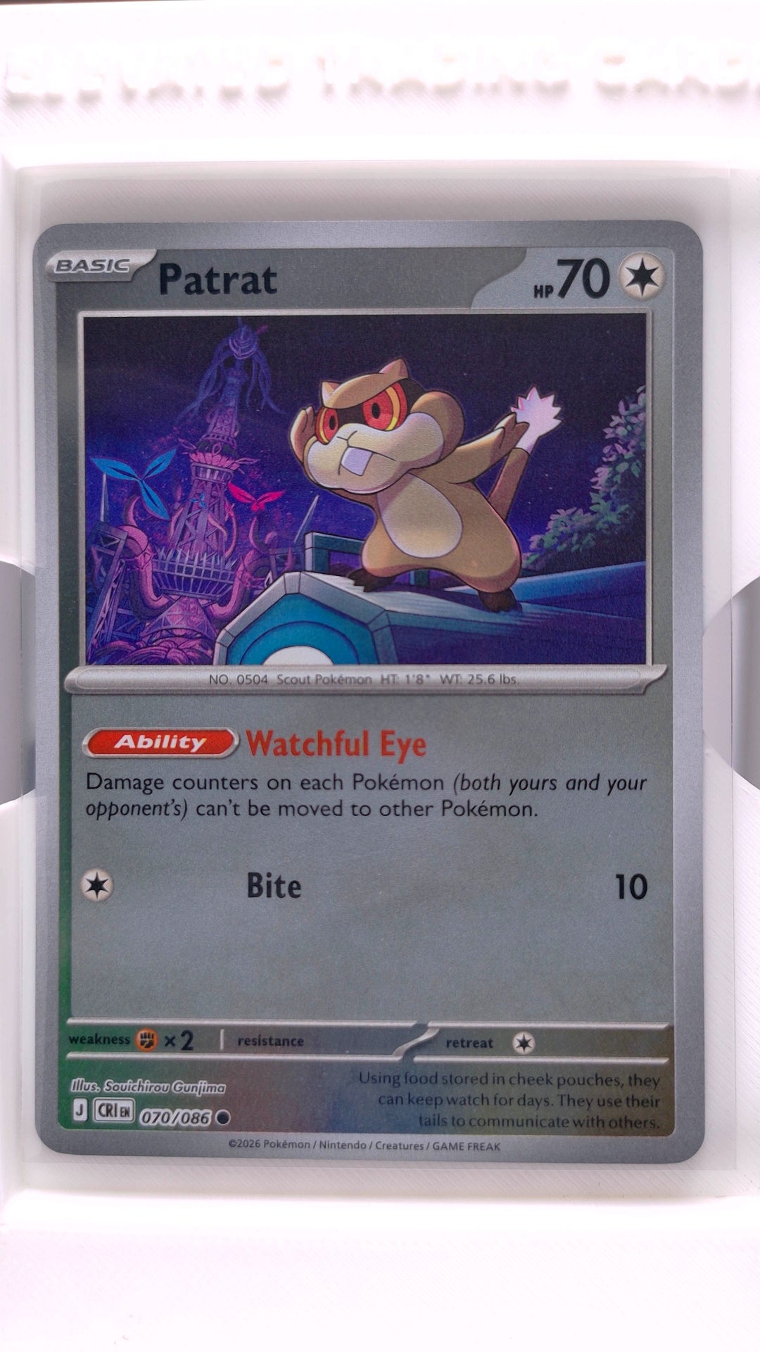 #70 Patrat Reverse Holo Common - front