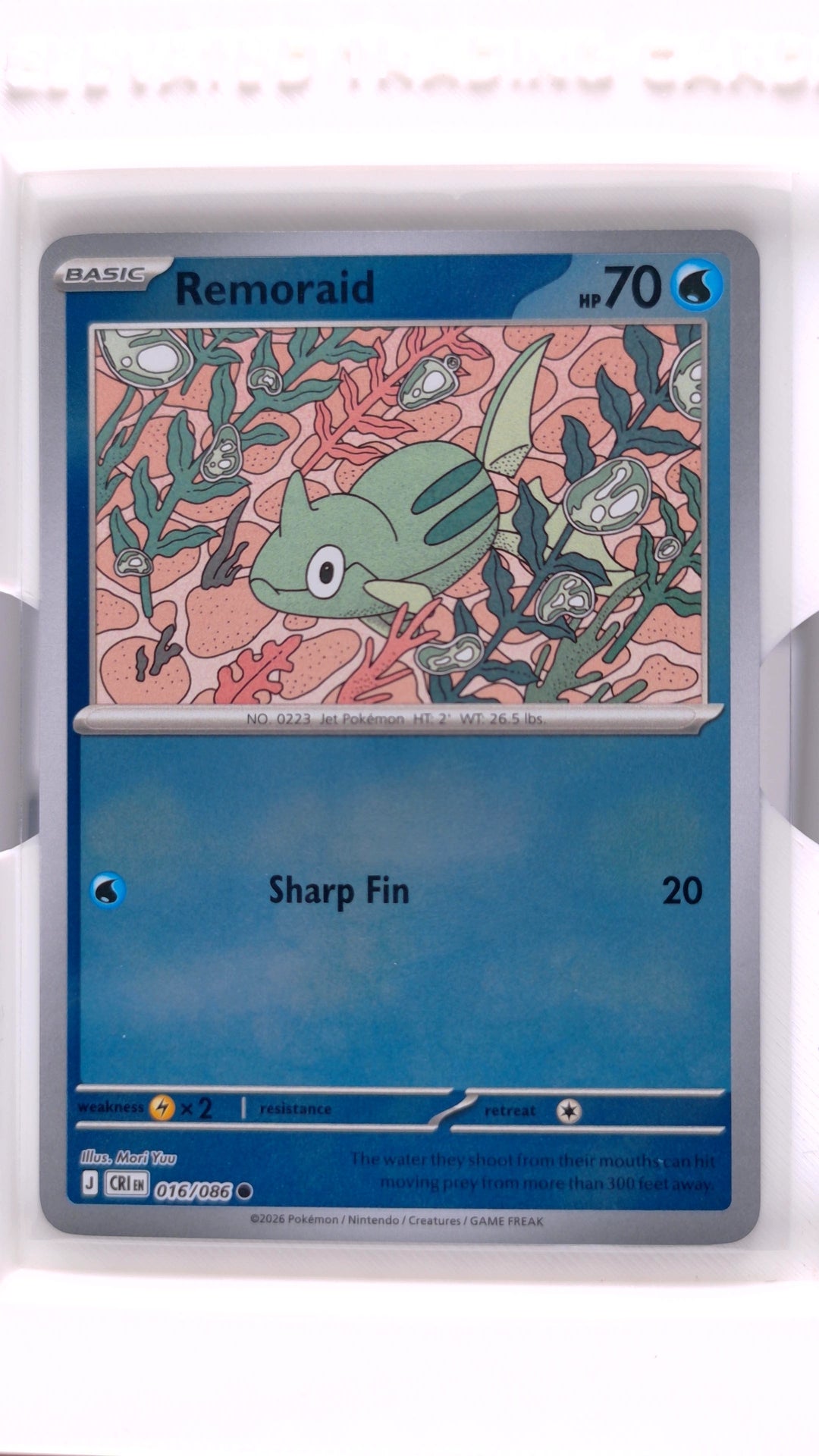 #16 Remoraid Reverse Holo Common - front