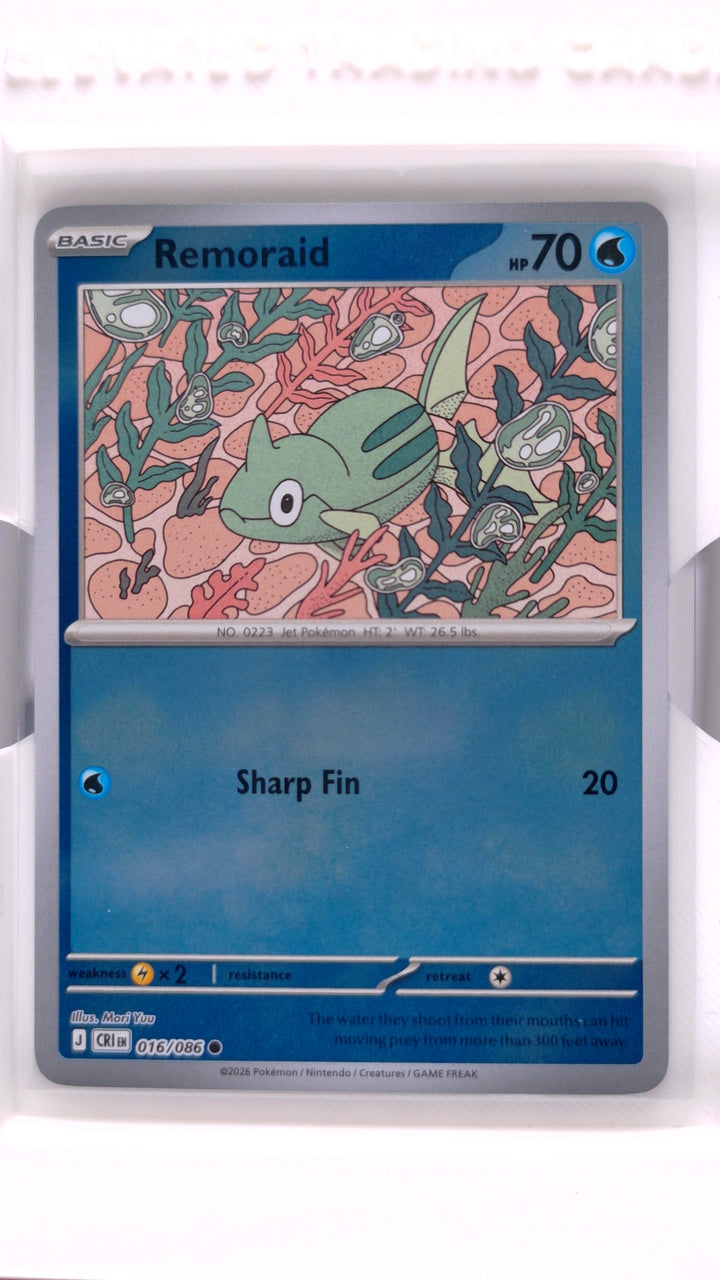 Pokémon: Mega Evolution — Chaos Rising Remoraid #016/086 Common Reverse Holo — Front