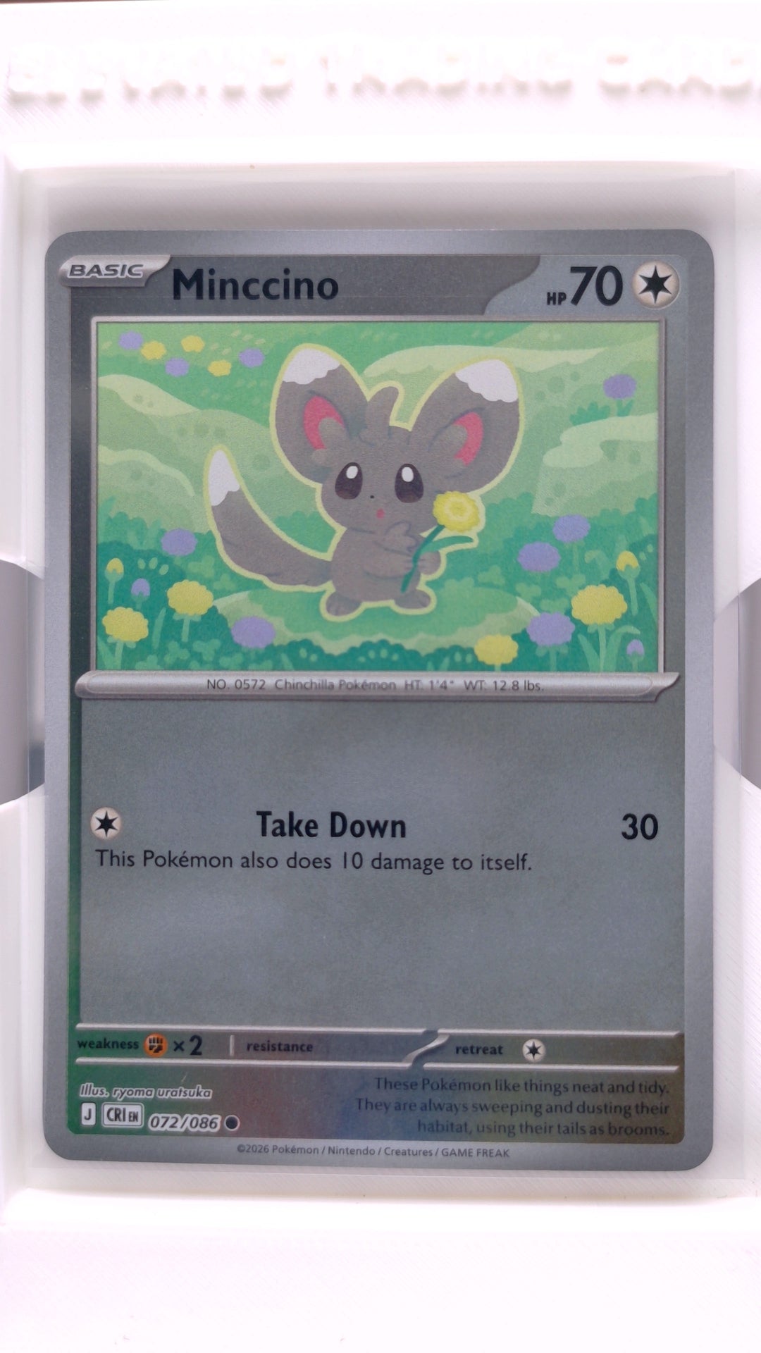 #72 Minccino Reverse Holo Common - front