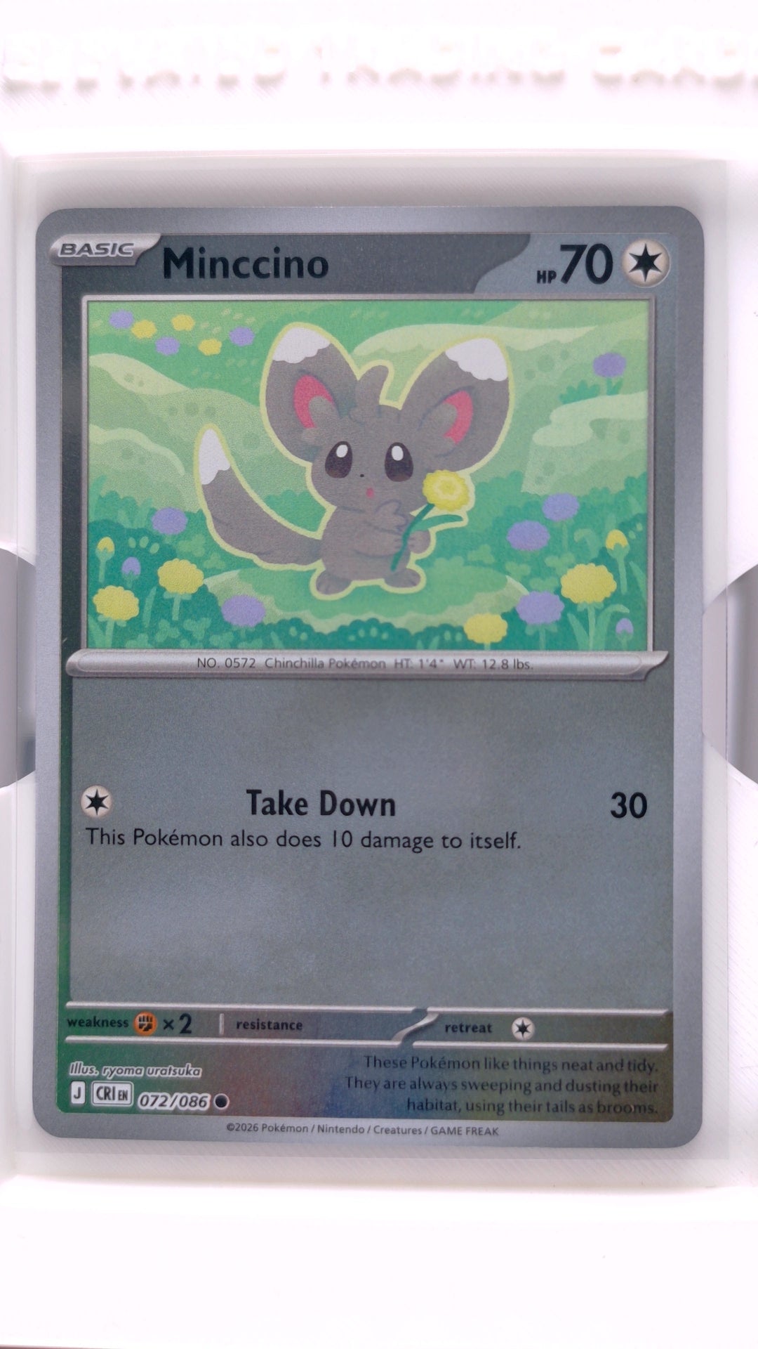 #72 Minccino Reverse Holo Common - front