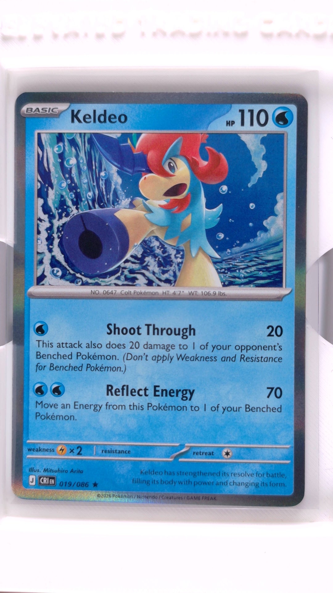 #19 Keldeo Holo Rare - front
